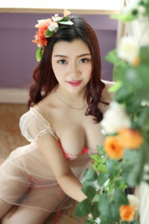 血恋2_DVD在线观看电视